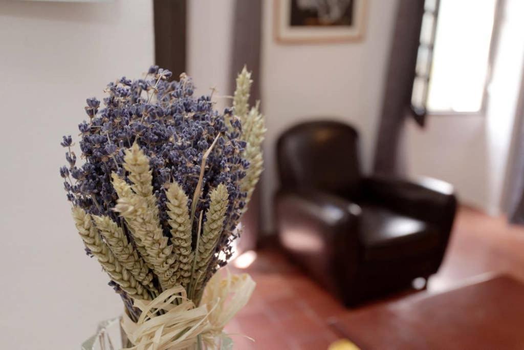 Ferienhaus Maison Pittorresque St Paul De Vence *
