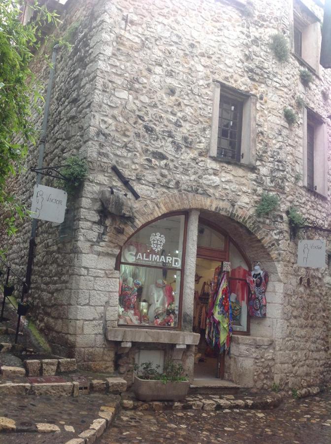 Maison Pittorresque St Paul De Vence Holiday home *